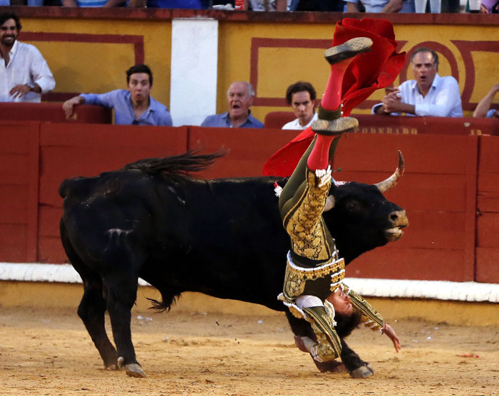 Roca Rey herido en Badajoz