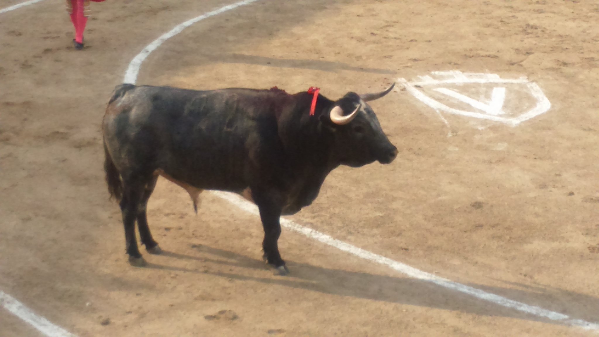 Juan Bautista indulta a «Revoltoso» de Rehuelga