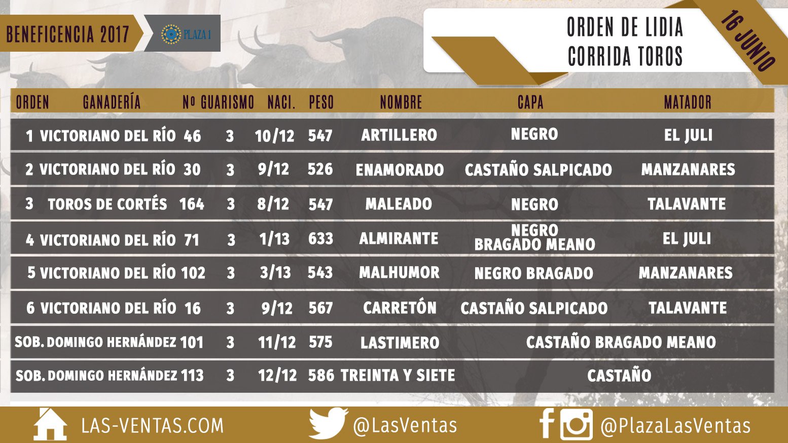 Toros, cuadrillas y equipo gubernativo para la Beneficencia