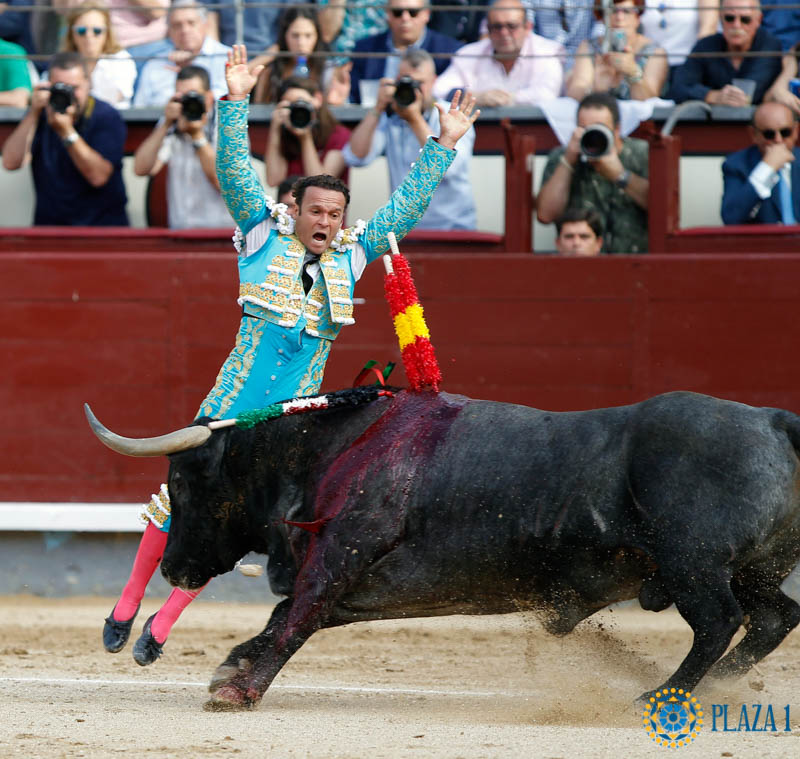 La entereza de Ferrera frente a una decepcionante corrida de Adolfo Martín