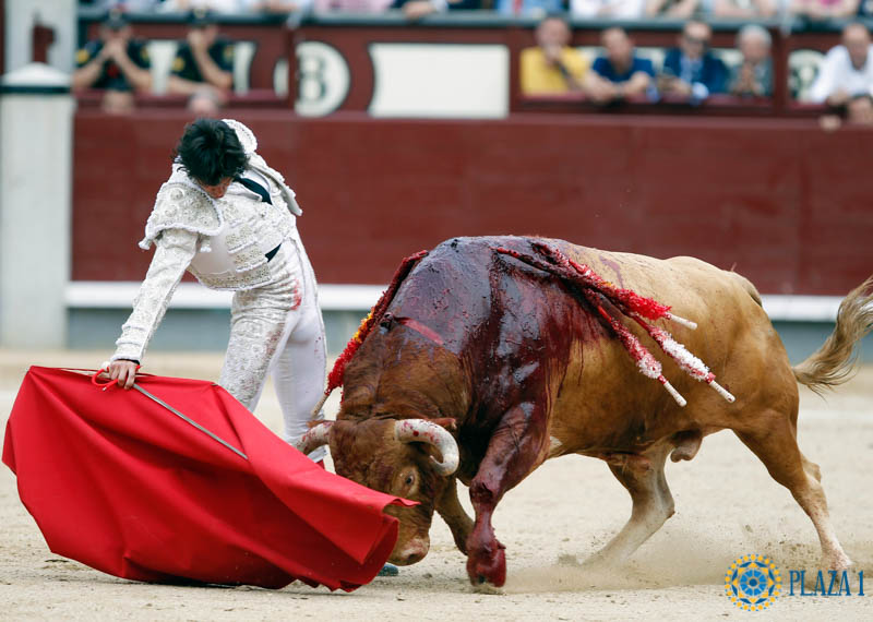 Juan del Álamo: «nunca he visto a Madrid rugir así conmigo»