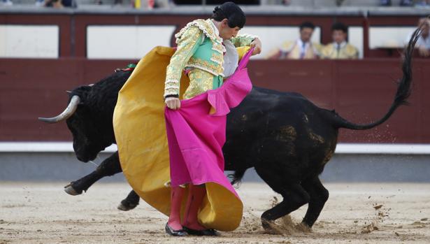 Presentada una gran novillada para la Feria de Santiago de Santander