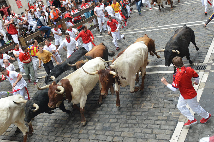 Fuemte Ymbro: Un encierro a contrarreloj