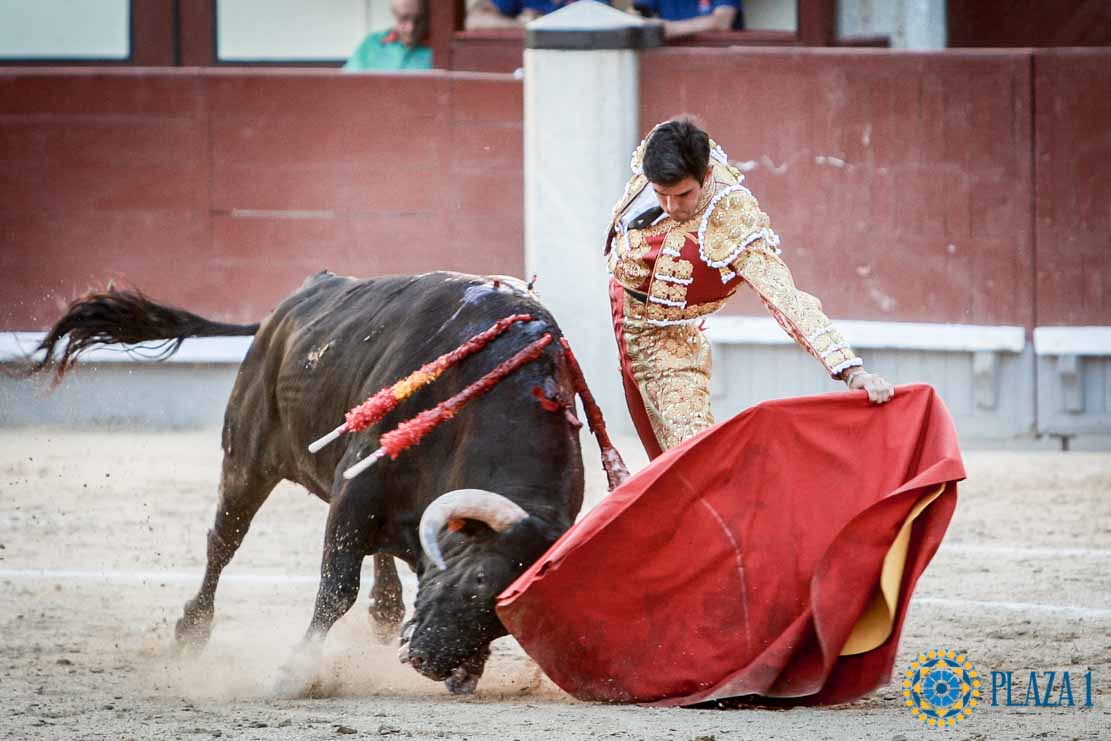 Un solitario Mario Palacios frente a un gran encierro de María Cascón