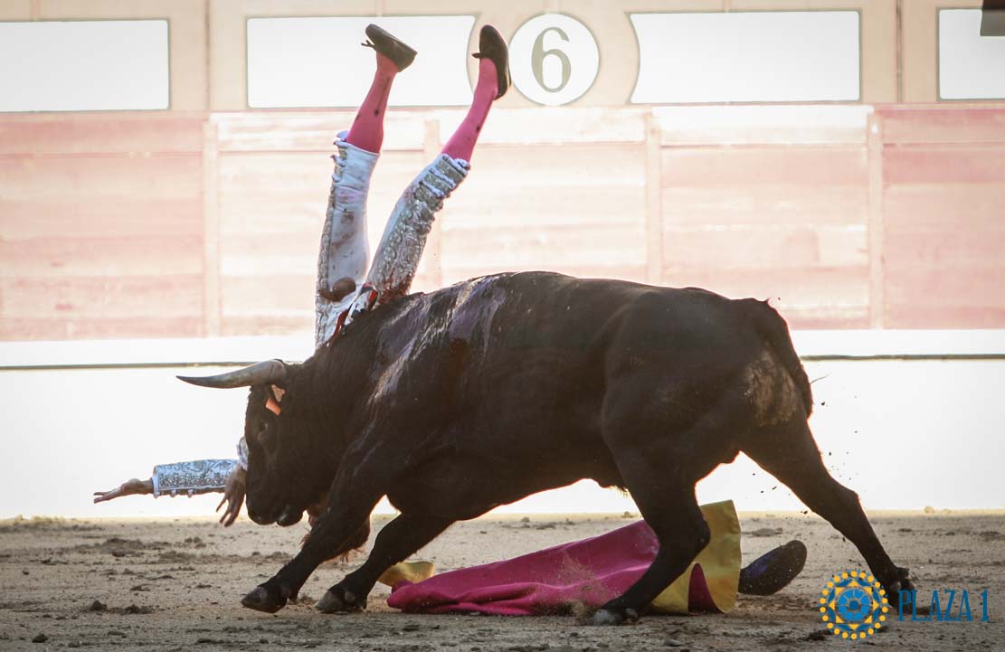 Juan Miguel, duras cornadas en cuello y escroto
