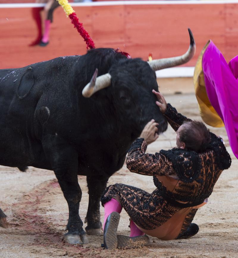 «Pirri» ya ha sido trasladado a planta