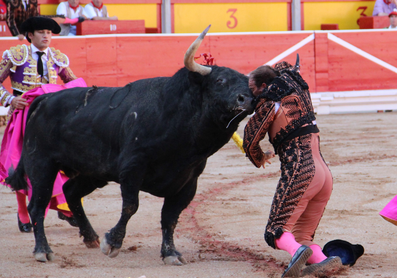 «Pirri» herido grave y de forma dramática en Pamplona