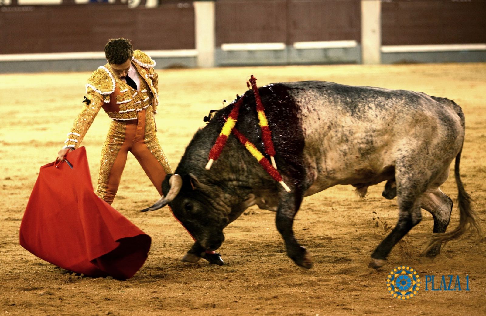 Adrien Salenc «Madrid da mucho a un torero y también lo quita»