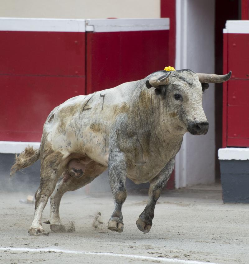 Ana Romero y Miguel Ángel Perera, grandes triunfadores en Azpeitia