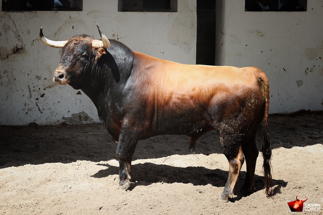 Orden de lidia de los toros de Victoriano del Río para Bilbao