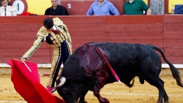 Fernando Tendero: “La apuesta con Victorino puede dar mucho crédito a mi carrera“