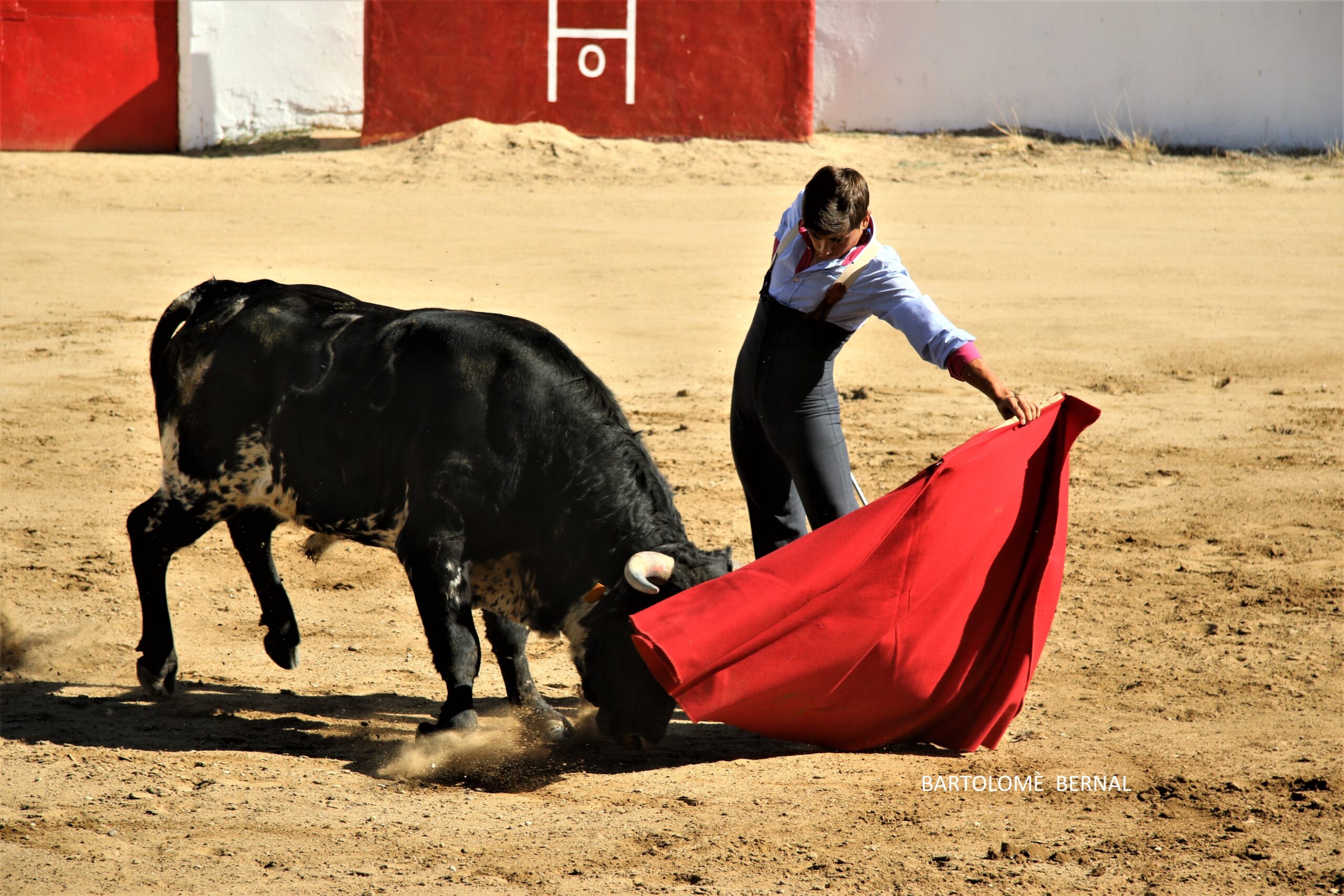 Fran Ferrer: «No estoy en el toreo para perder el tiempo»