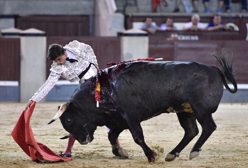 Jorge Isiegas, dos cornadas en Azqueca de Henares