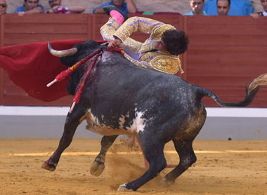 Ángel Sánchez, cornada de dos trayectorias en Villaseca