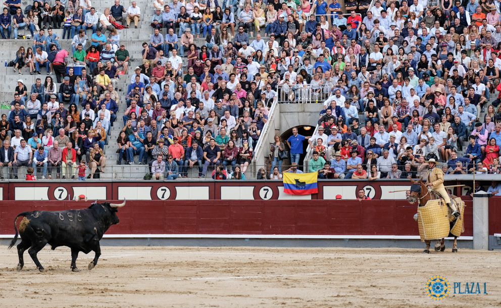 Fallan los premios de los Desafíos Ganaderos de Las Ventas