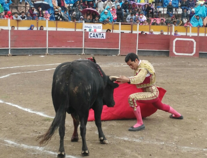 Con maletas perdidas, Téllez logra actuar en Perú