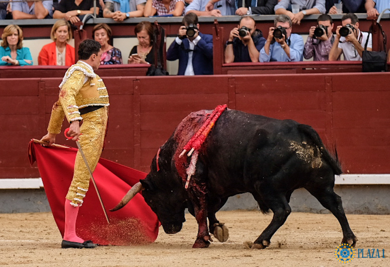 La pureza tiene un nombre, Paco Ureña