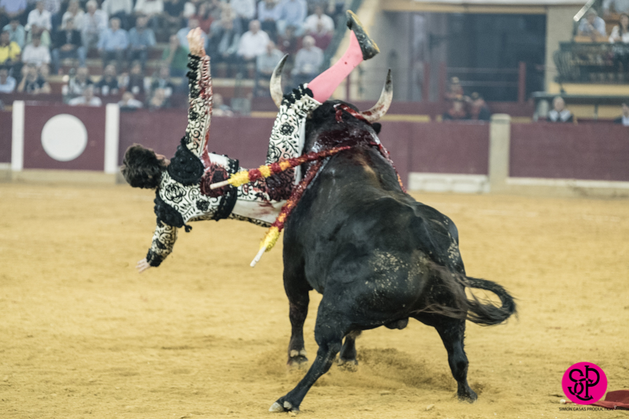 José Garrido recibe dos cornadas en Zaragoza