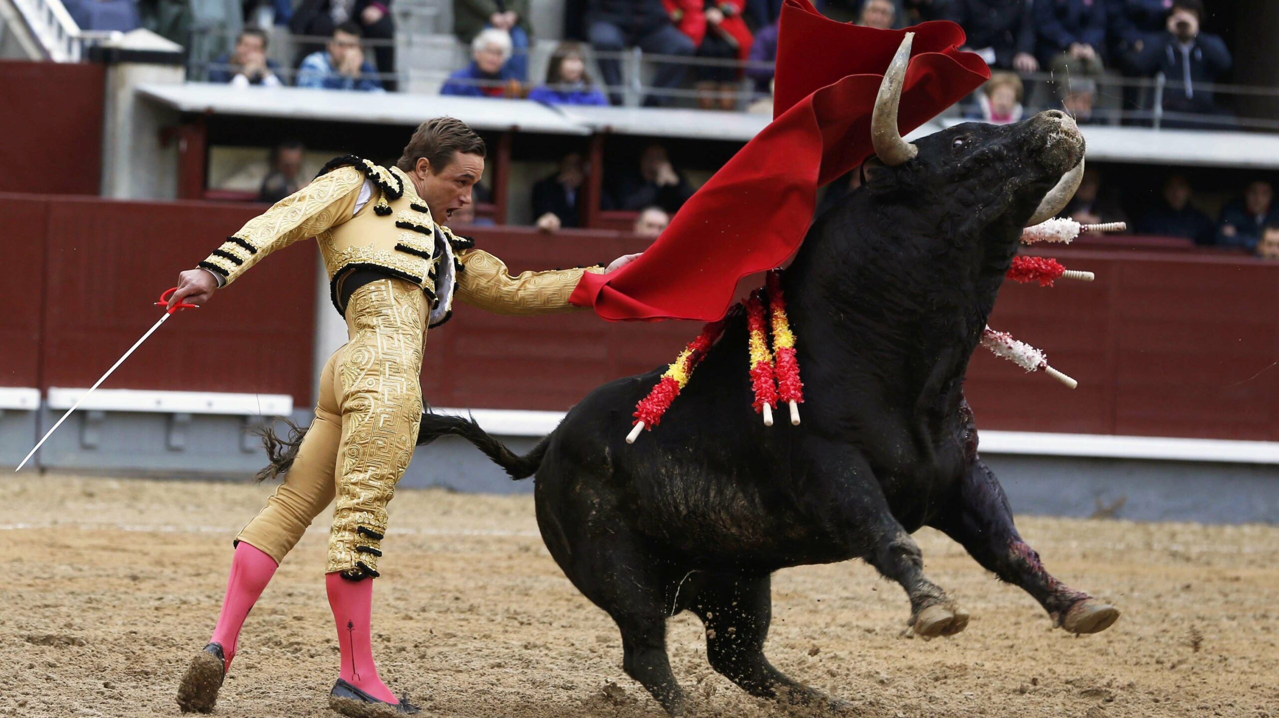 Juan Bautista, Trofeo José Cubero “Yiyo” de Colmenar Viejo
