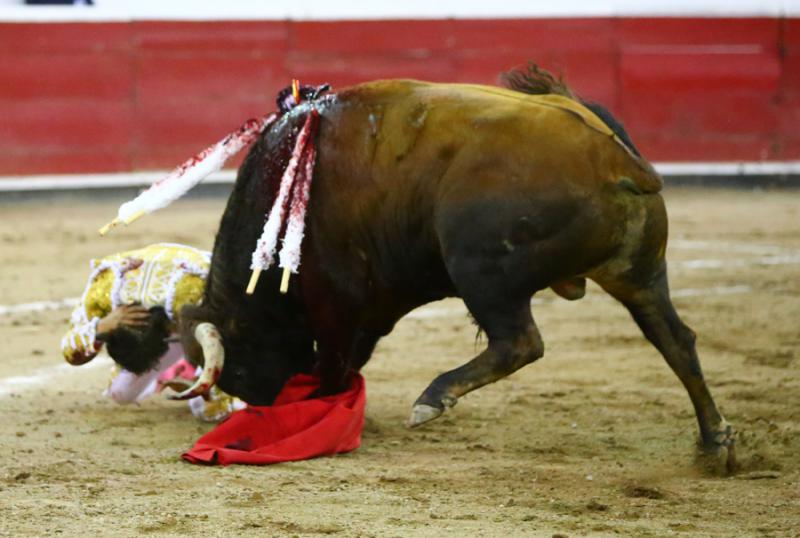 Dura cornada en el escroto a Luis David Adame