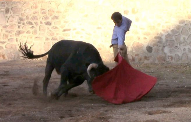 Arturo Macías reaparece en el campo en la ganadería de Corlomé