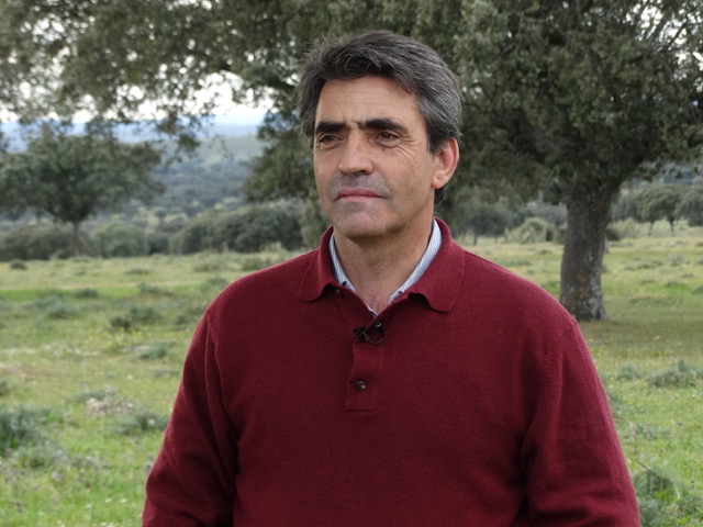 Victorino Martín, nuevo presidente de la FTL