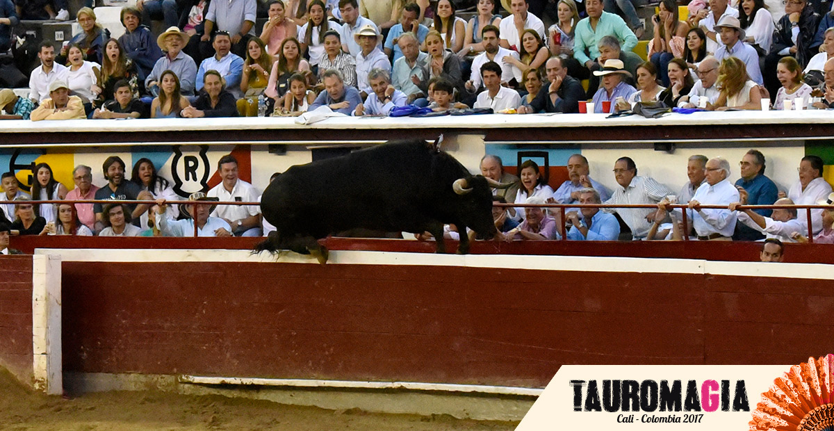 Salto, tres avisos y palmas por la quinta de Cali