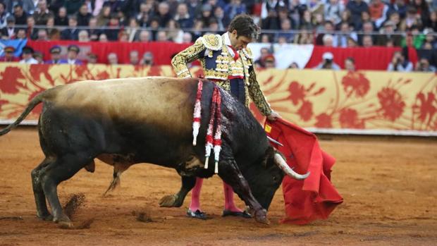 Vídeo resumen de José Tomás en México