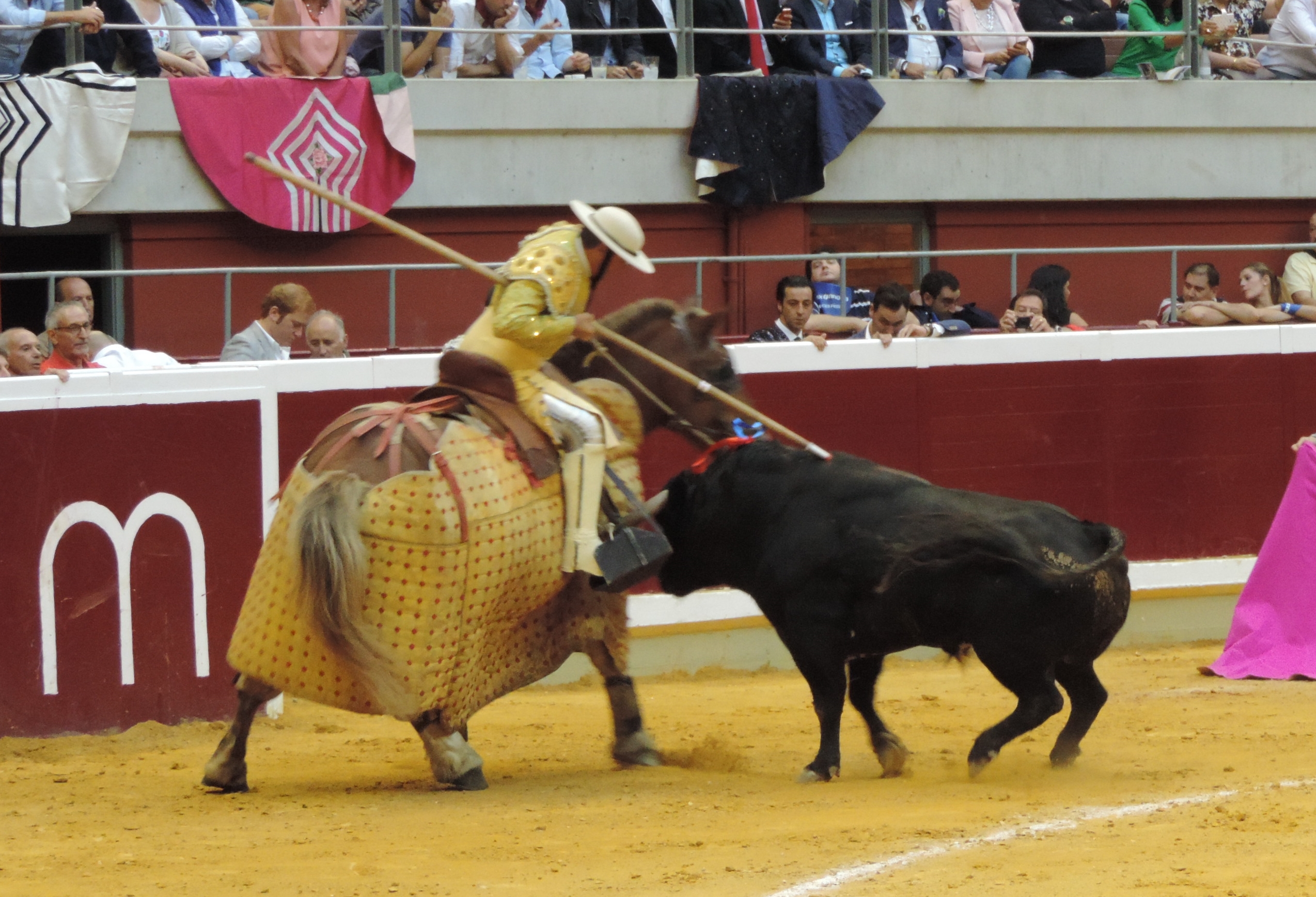 Manuel Molina se retira de los ruedos