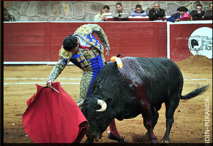 Jerónimo: «Un triunfo rotundo puede catapultarte a torear todo el año»