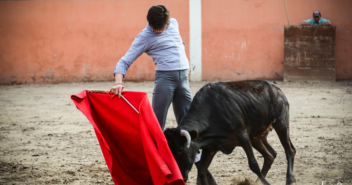 Roca Rey, preparado para La México (Vídeo)