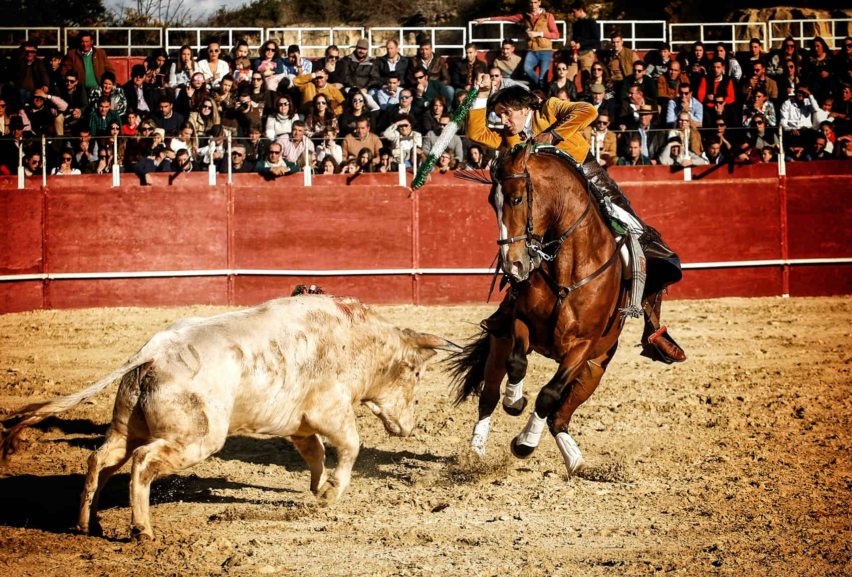Importante, el hijo de Nazarí