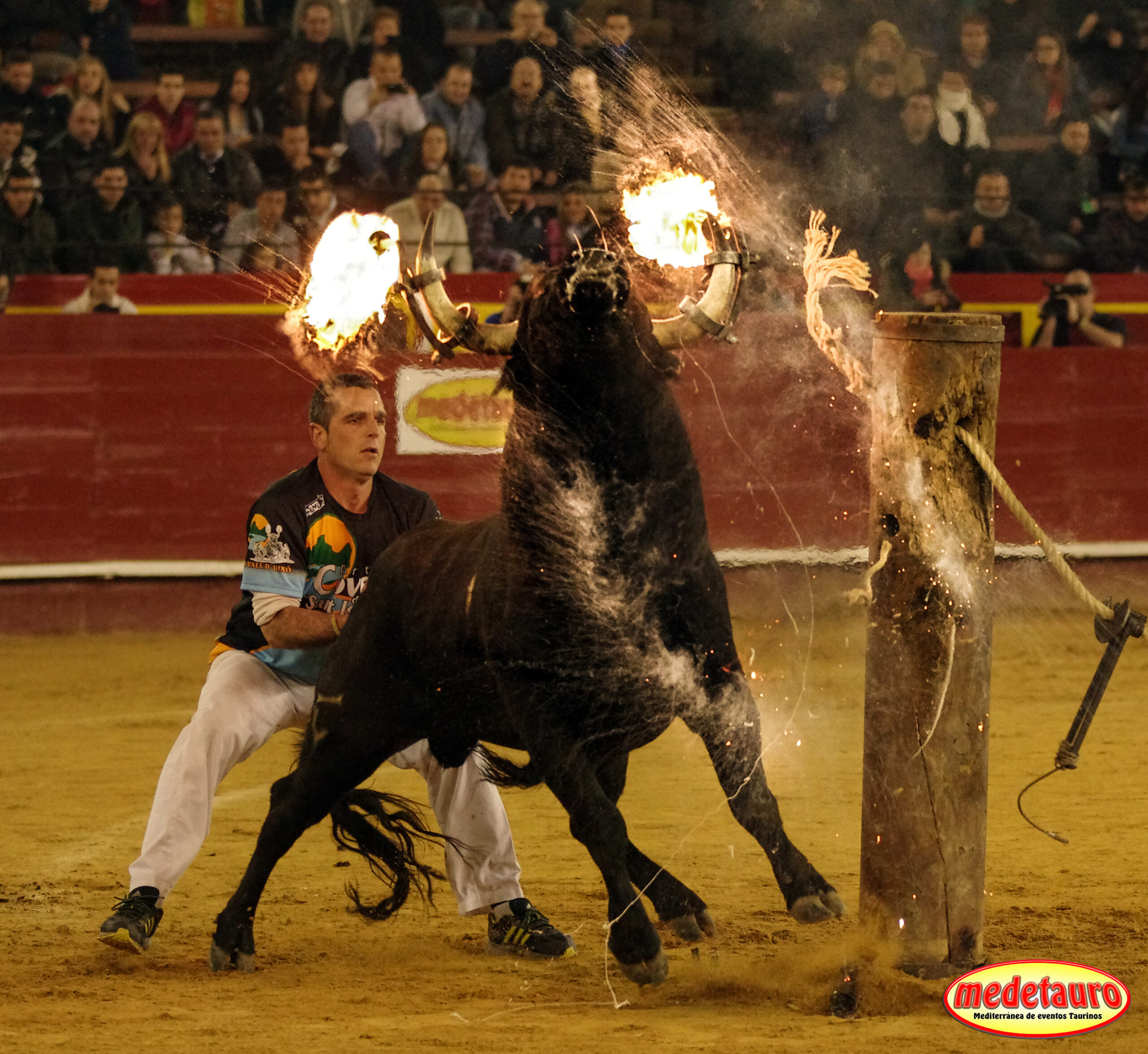 El fuego vuelve a Castellón el 3 de Marzo