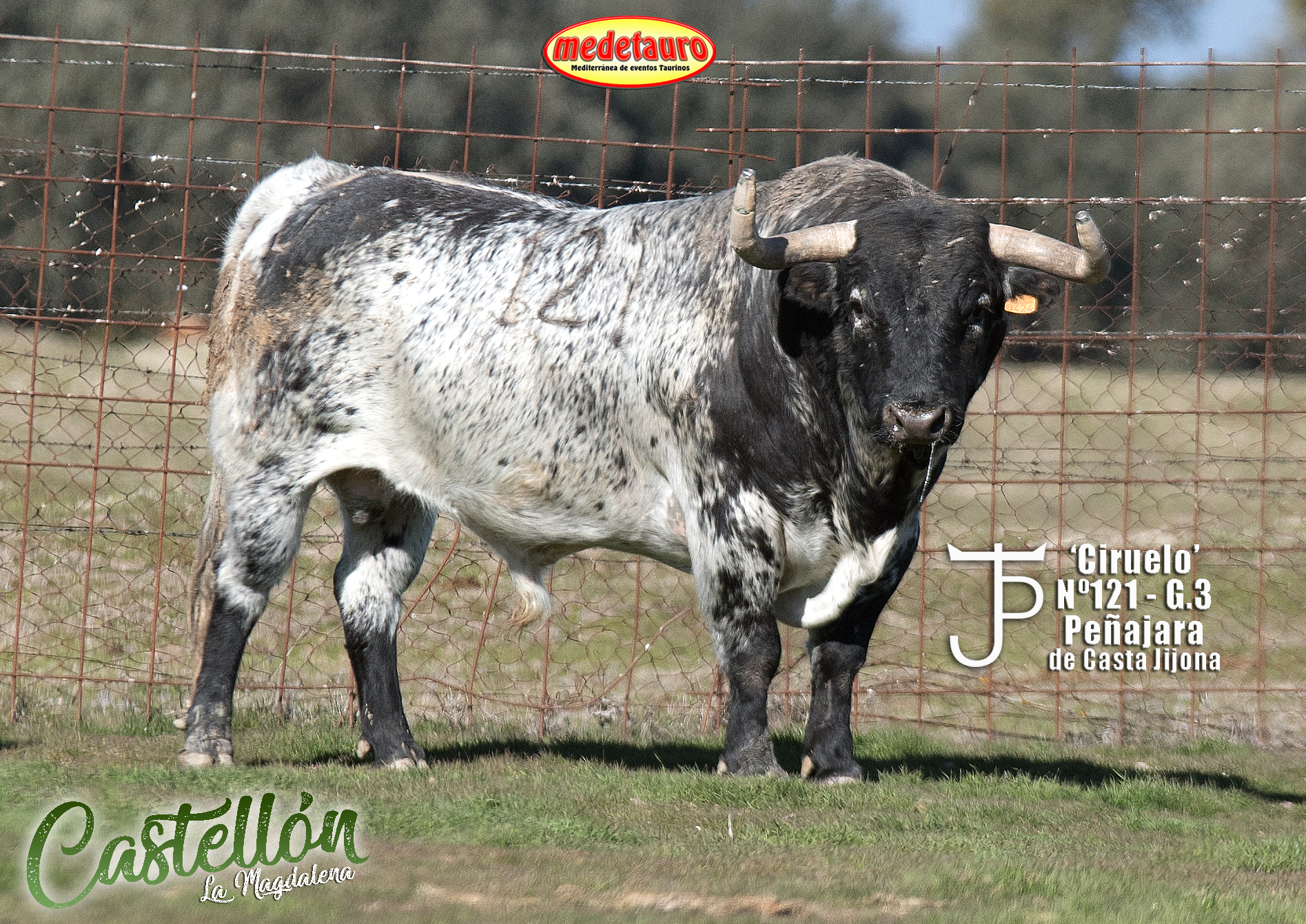 Peñajara, protagonista del ‘Recortador de Oro’