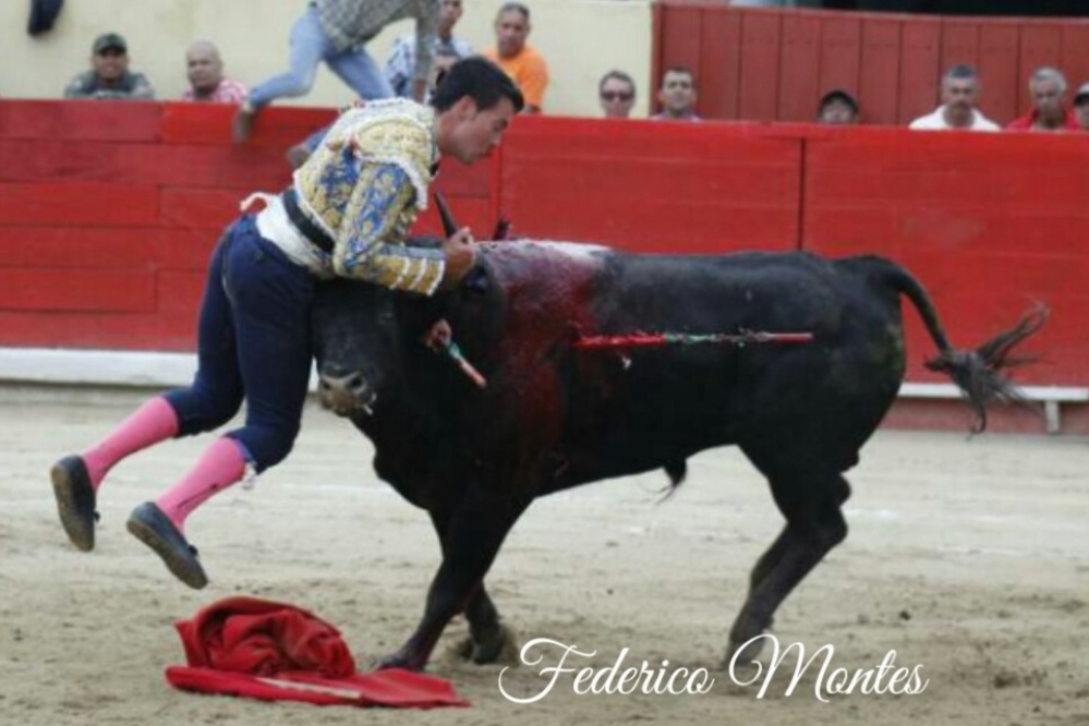 Manolo Venegas, cornada de 20 cm en el labio