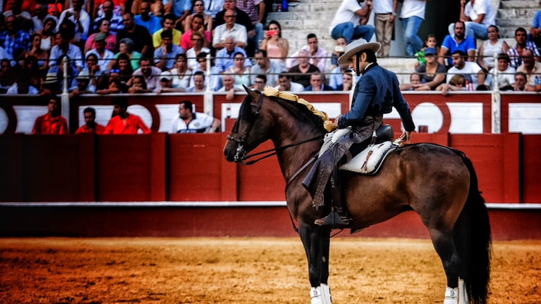 Diego Ventura se encerrará en solitario en Madrid