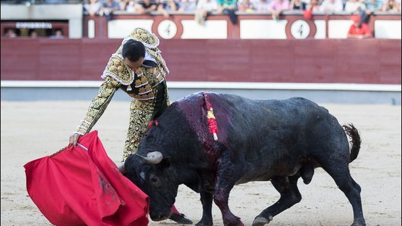 Entrevista a «El Cid»