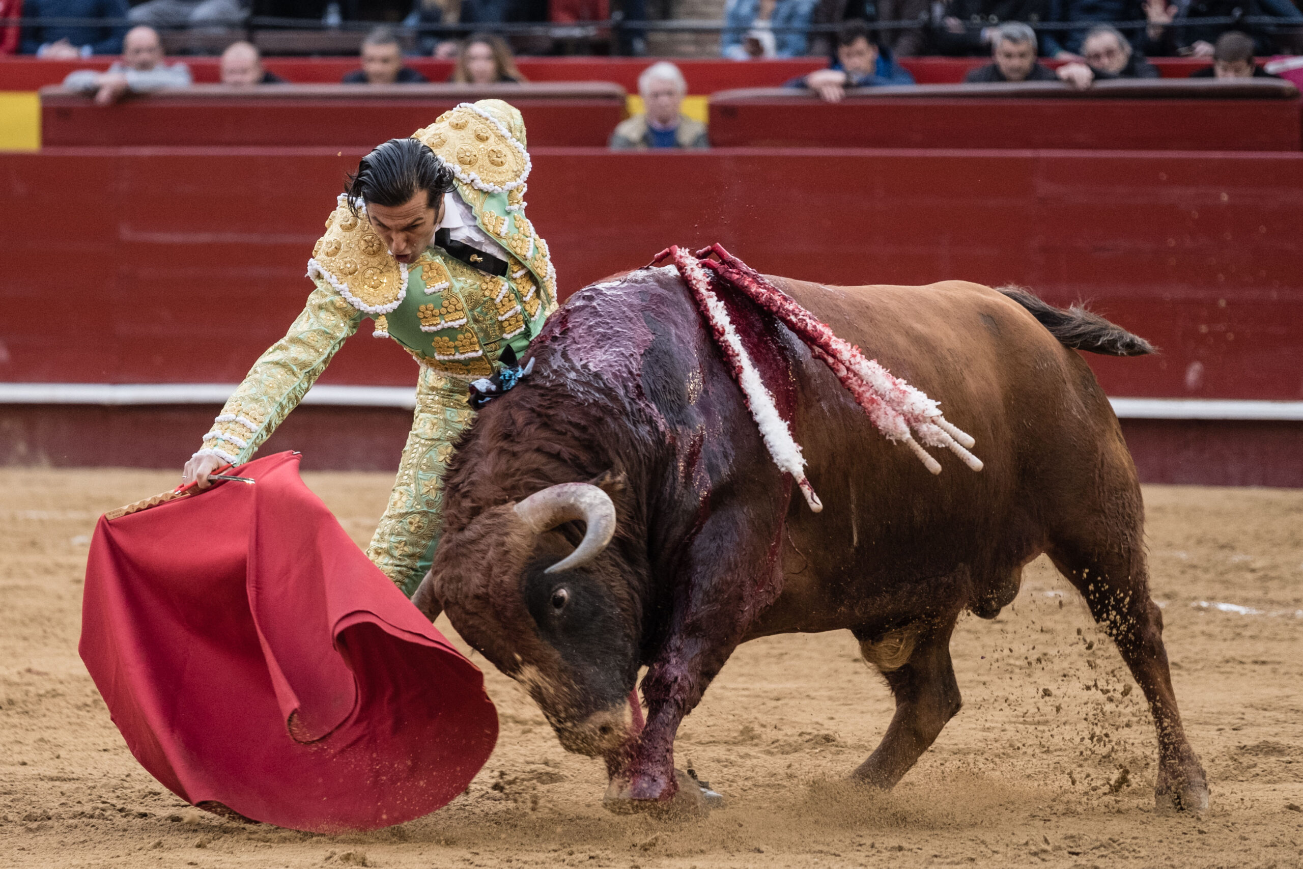 La raza de David Mora frente a una buena corrida de Alcurrucén