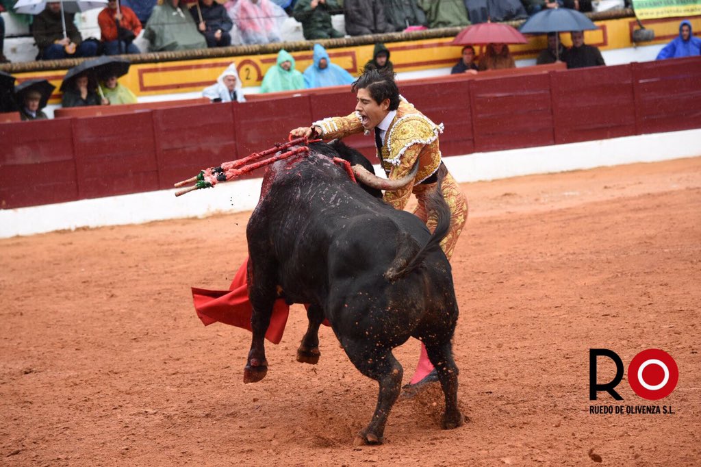 Luis David Adame, herido en la matinal de Olivenza