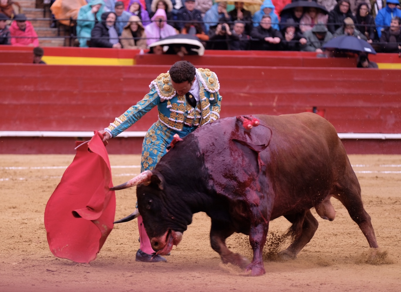 Oreja para Colombo y faena de alto calado de Ferrera