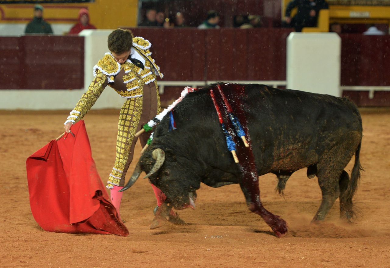 Ginés Marín se impone en el mano a mano de Olivenza