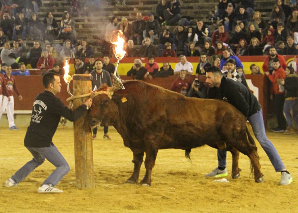 El fuego ilumina la primera de ‘La Magdalena’
