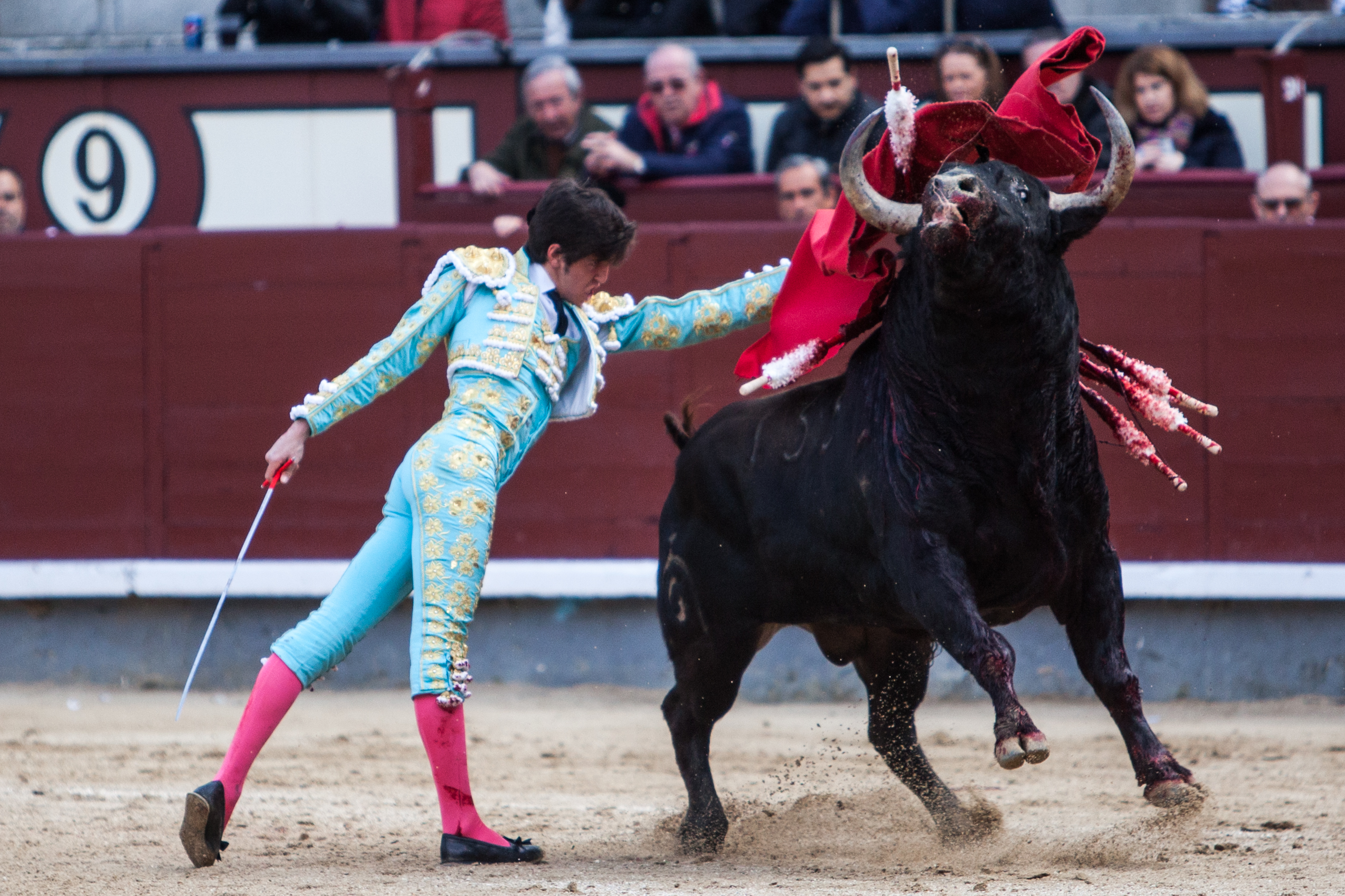 Una terna con planta frente al viento