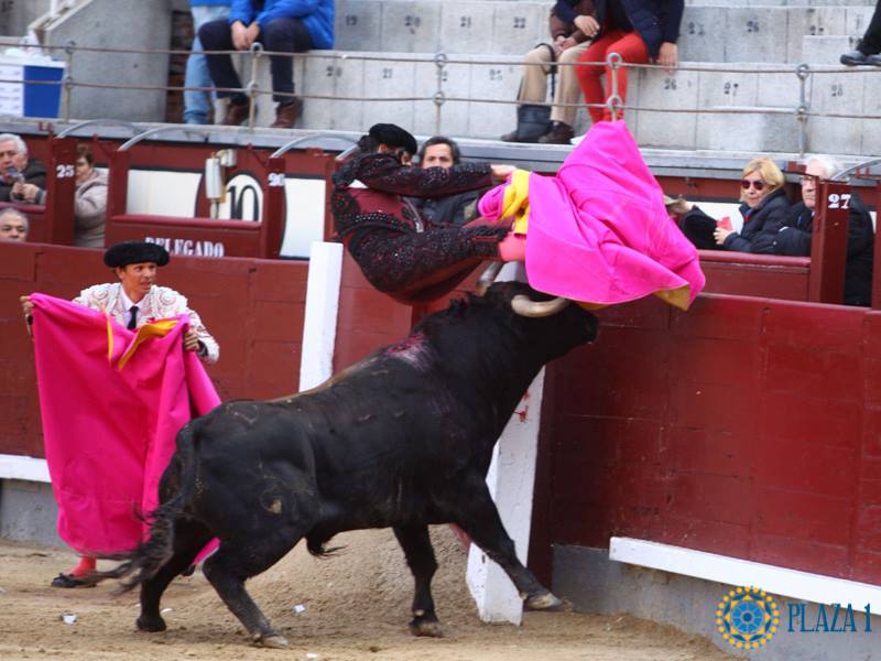 Parte Médico del subalterno Jesús Montes en Las Ventas
