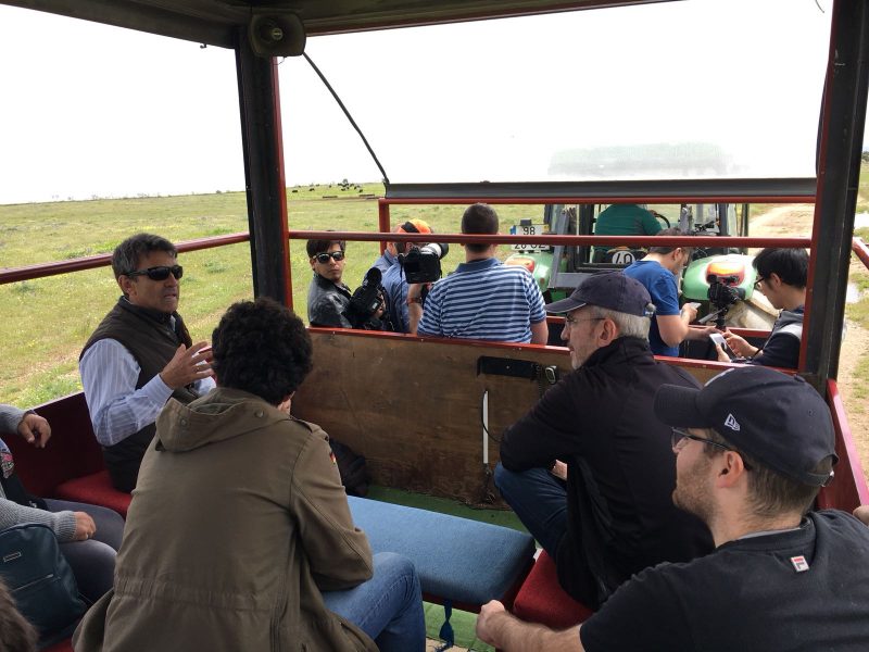 Corresponsales en medios extranjeros visitan una ganadería de toro de lidia