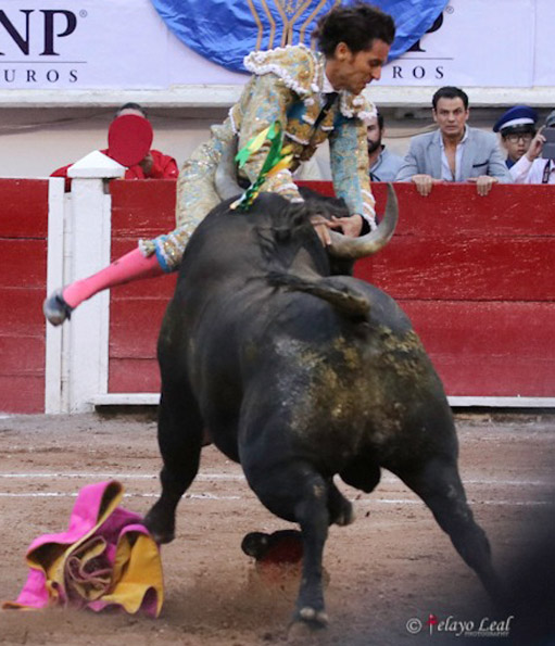 Fabián Barba sufre una aparotosa cogida