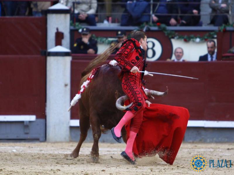 Javier Cortés, cornada de 20 cm que contusiona el nervio ciático
