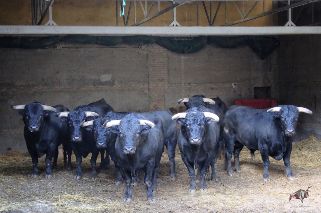 Zafrero abre la Feria del Corpus de Granada