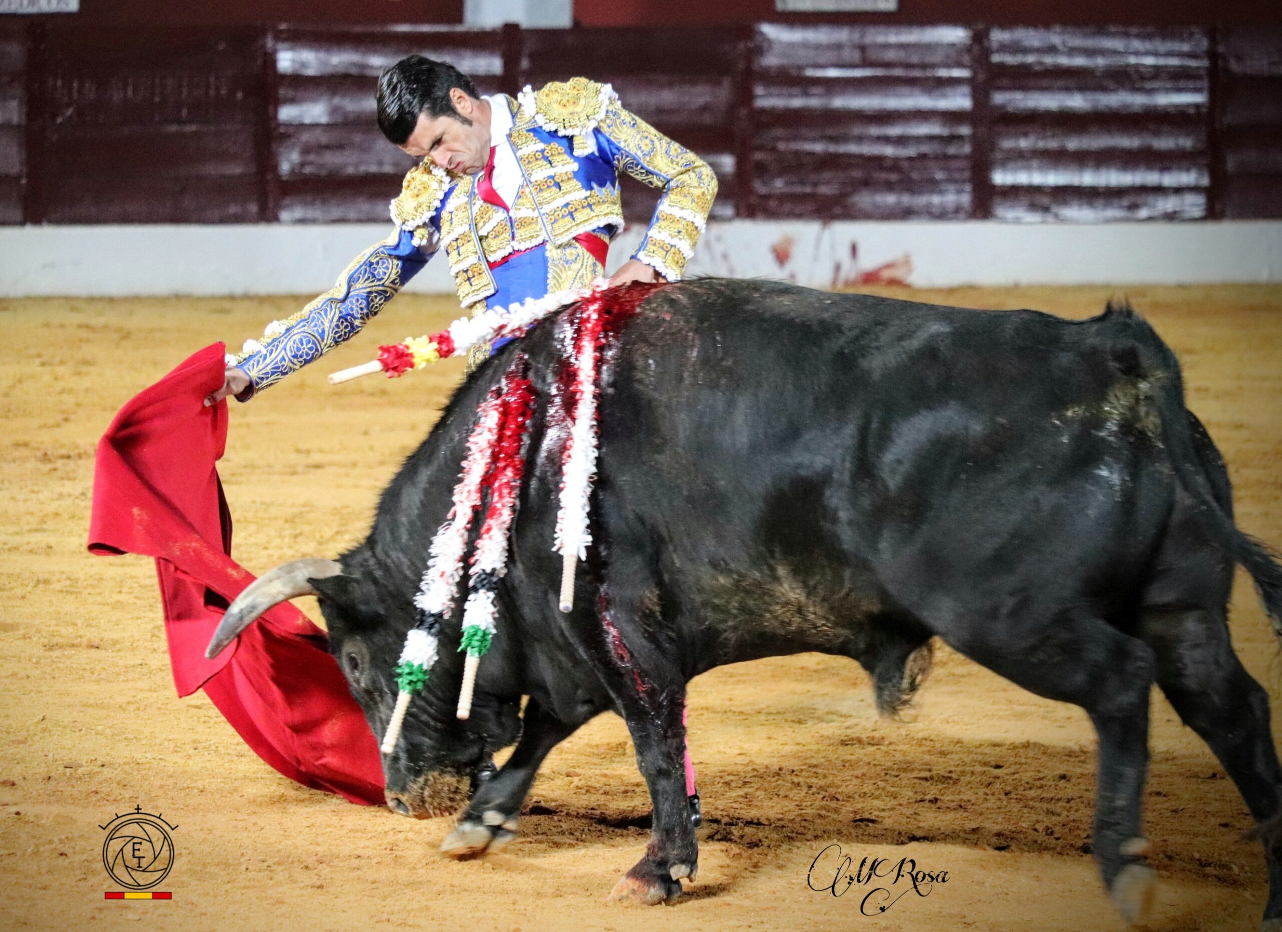 Petardo ganadero de Zalduendo en Olivenza