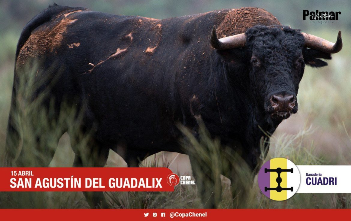 Cuadri y Baltasar IbÃ¡n Copa Chenel